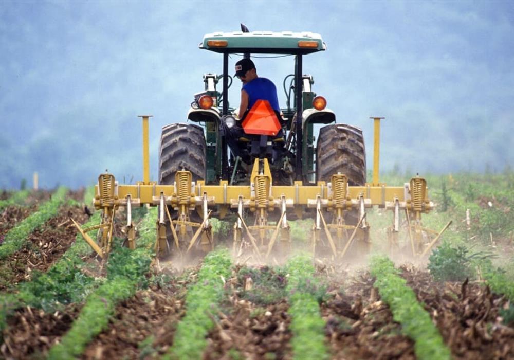 Agriculture Industry